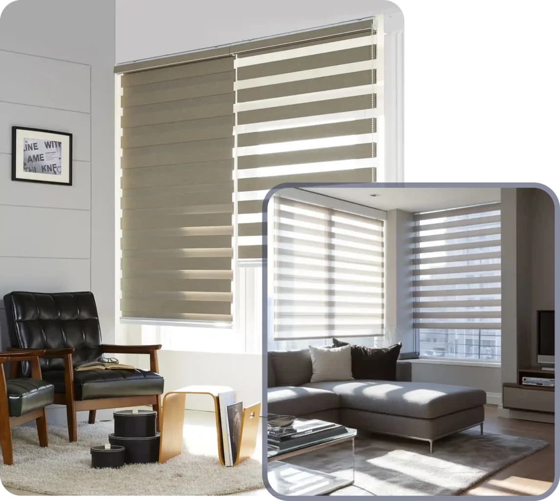 Home Zebra Blinds